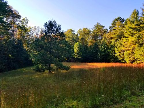 Lot 5 Creek Hollow Lane, Blairsville, GA, 30512 | Card Image