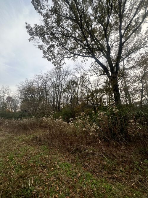 0 Baker Rd, Columbia, TN, 38401 | Card Image