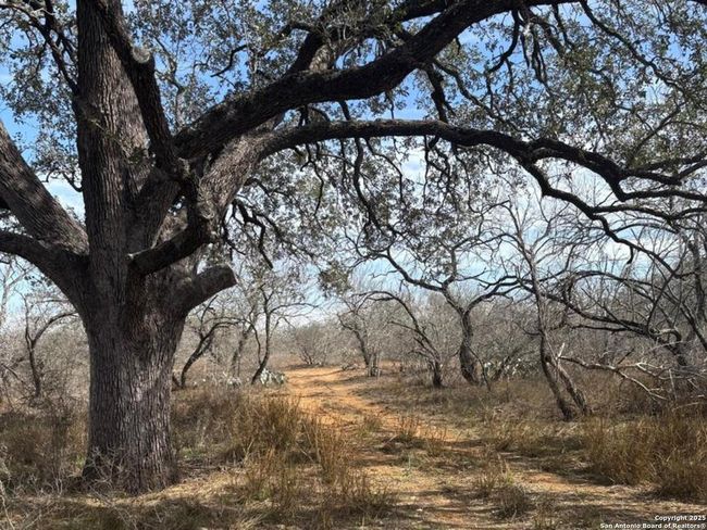 946 County Road 2863, Home with 0 bedrooms, 0 bathrooms and null parking in Bigfoot TX | Image 12