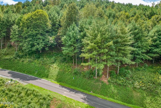 10 Cowan Town Rd, Home with 0 bedrooms, 0 bathrooms and null parking in Butler TN | Image 19