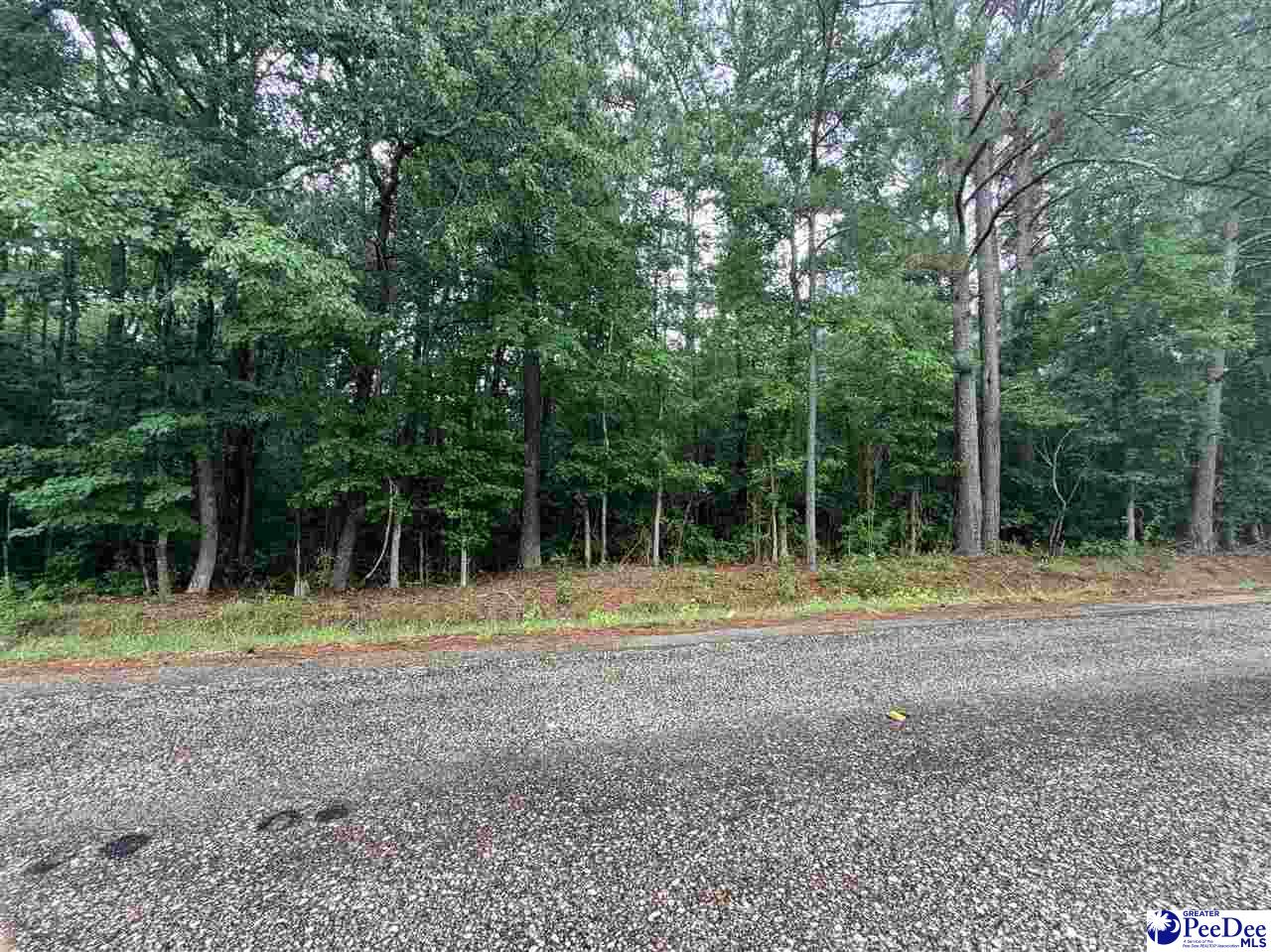 Land in Dillon 2