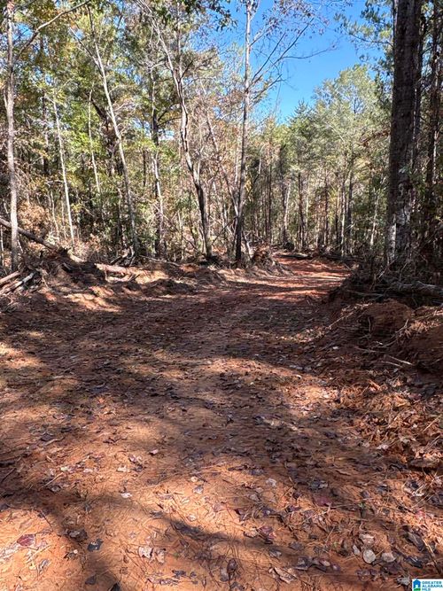 1-0 County Road 9, WEST BLOCTON, AL, 35184 | Card Image