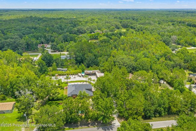 26221 Pheasant Run, House other with 4 bedrooms, 3 bathrooms and null parking in Wesley Chapel FL | Image 85