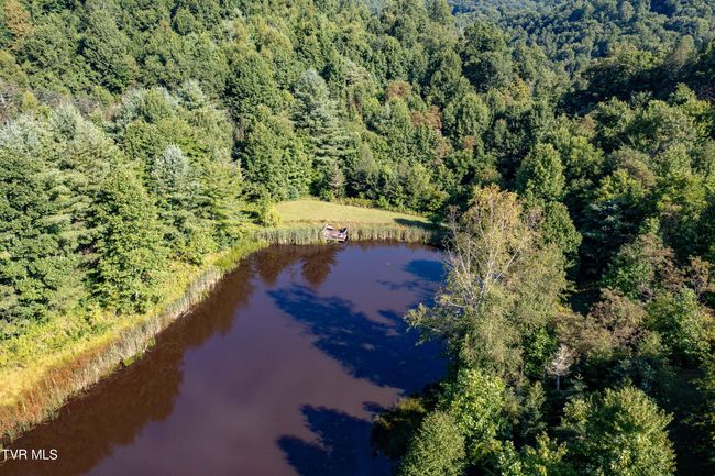 306 Bear Branch Rd, Home with 0 bedrooms, 0 bathrooms and null parking in Roan Mountain TN | Image 42