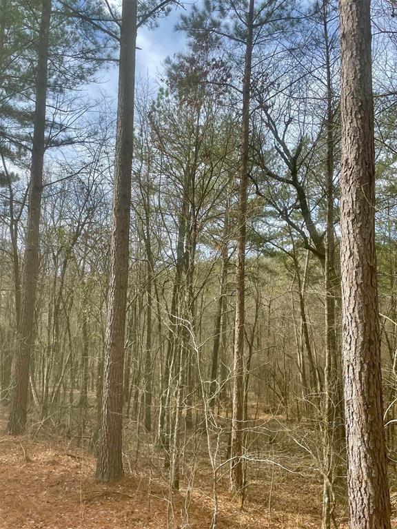 Land in Broken Bow 2