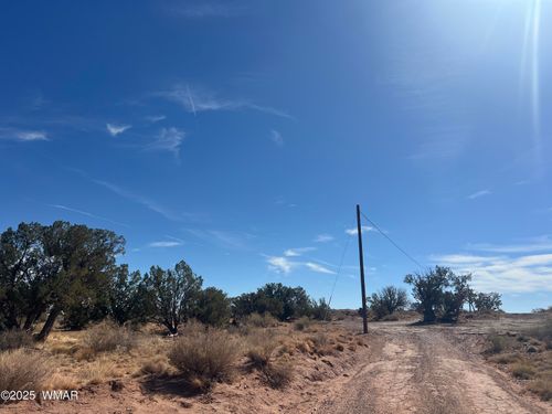 8362 Cupples Trl, Snowflake, AZ, 85937 | Card Image