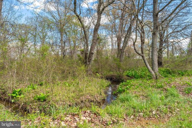 10027 John S Mosby Hwy, Home with 7 bedrooms, 8 bathrooms and null parking in Upperville VA | Image 63