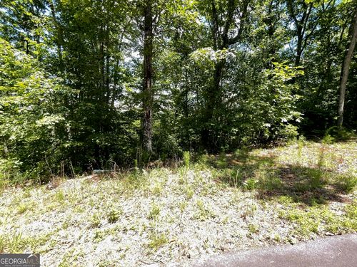 LOT 20 Fodder Creek Mill Rd, Hiawassee, GA, 30546 | Card Image