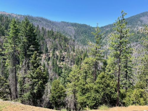 000 Hayfork Summit Rd, Junction City, CA, 96048 | Card Image