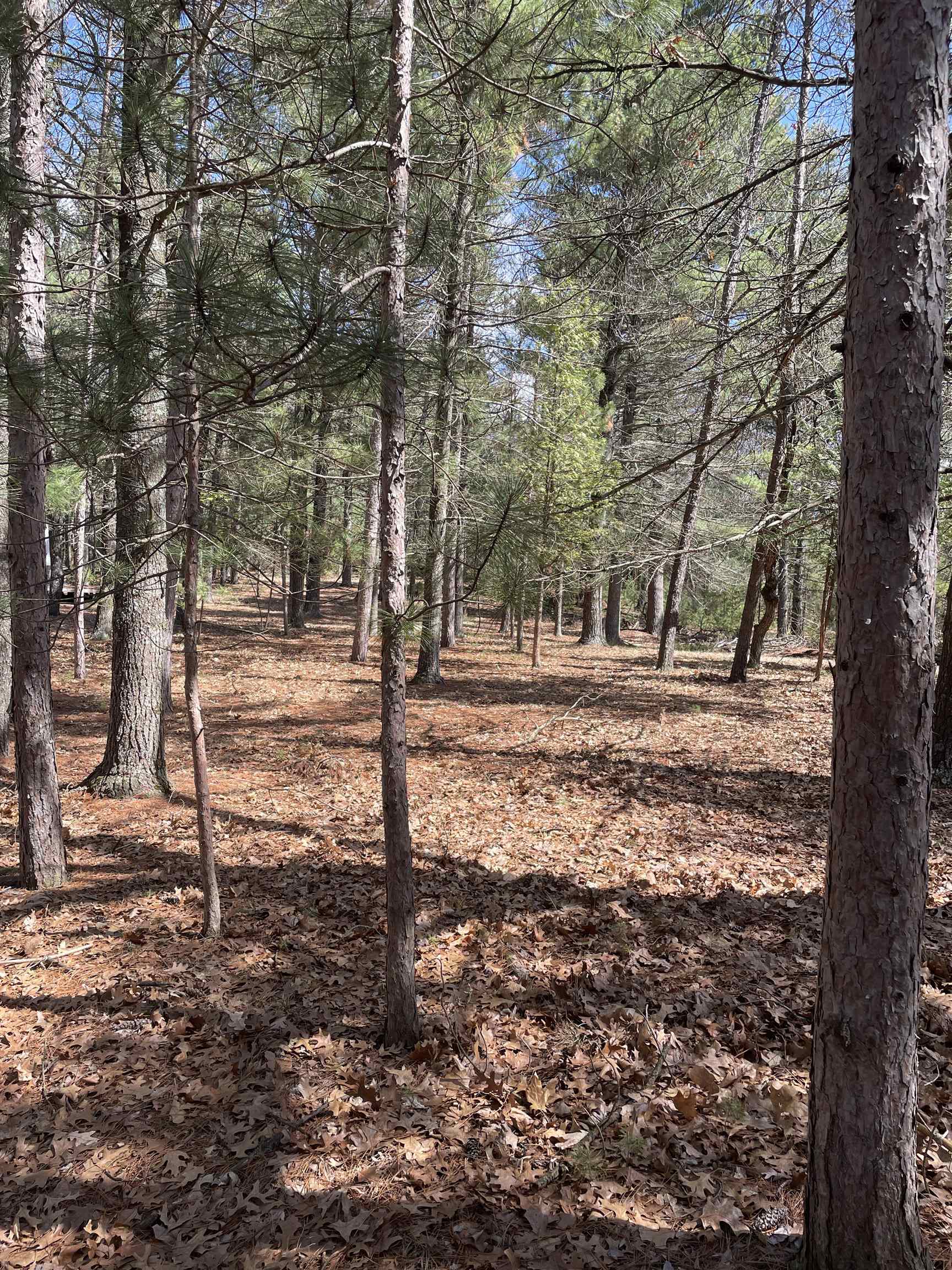 Deerpath Rd, Arkdale, WI 54613
