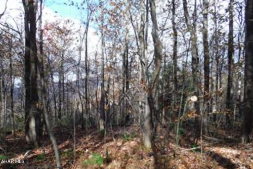 00 Poplar Run Road, Claysburg, PA, 16625 | Card Image