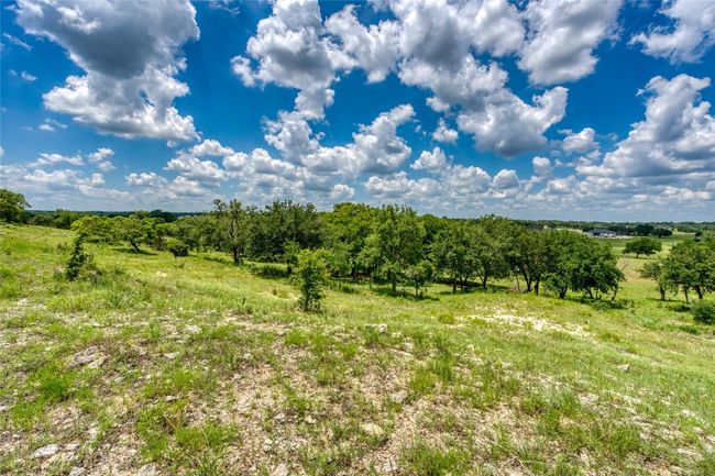 9 Miller Creek Blf, Home with 0 bedrooms, 0 bathrooms and null parking in Briggs TX | Image 9