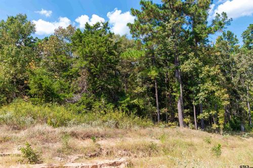 TBD County Road 3947, Hawkins, TX, 75765 | Card Image
