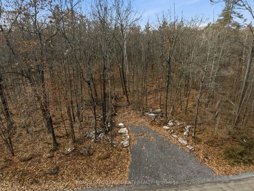 64 Maple Rd, Marmora, ON, K0K2M0 | Card Image