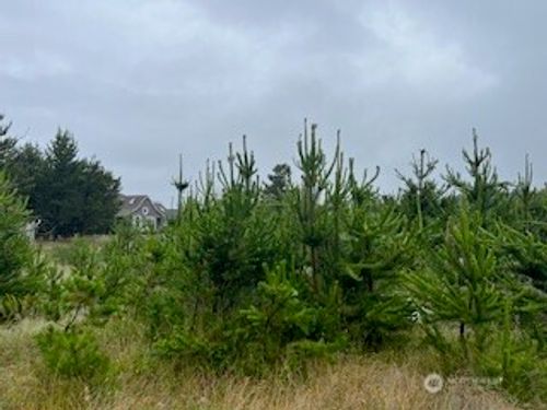 806 318th Pl, Ocean Park, WA, 98640-5301 | Card Image