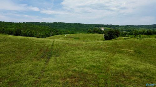 185 acres Carnes Chapel Rd, Attalla, AL, 35954 | Card Image