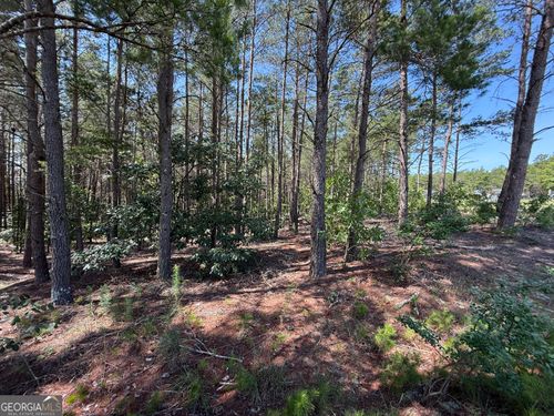12.1 ACRES Jackson Rd, Roberta, GA, 31078 | Card Image