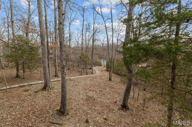 View of yard | Image 69