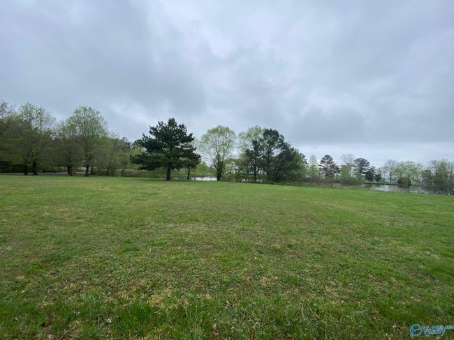 Lot 302 Main Street, Home with 0 bedrooms, 0 bathrooms and null parking in Pisgah AL | Image 7