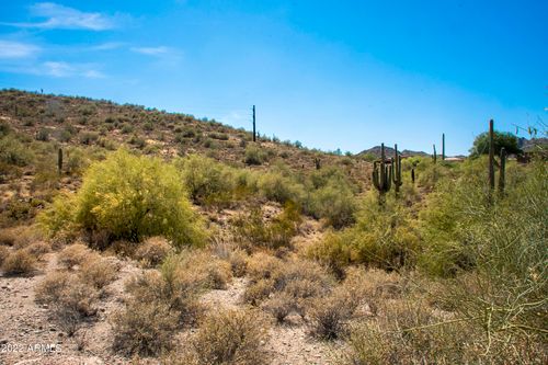38-11888 N Sunset Vista Dr, Fountain Hills, AZ, 85268-6164 | Card Image