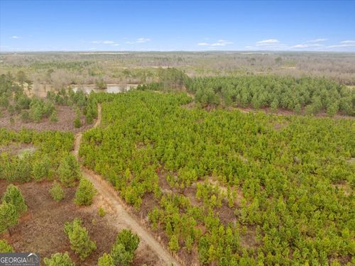 0 Blue Springs Rd, Sylvester, GA, 31791 | Card Image