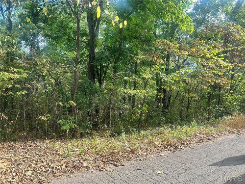 0 Bell St, Potosi, MO, 63664 | Card Image