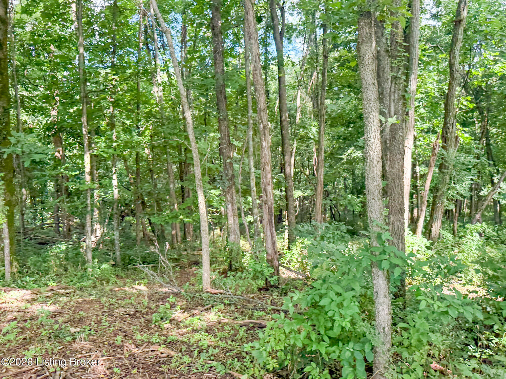 Land in Shelbyville 5