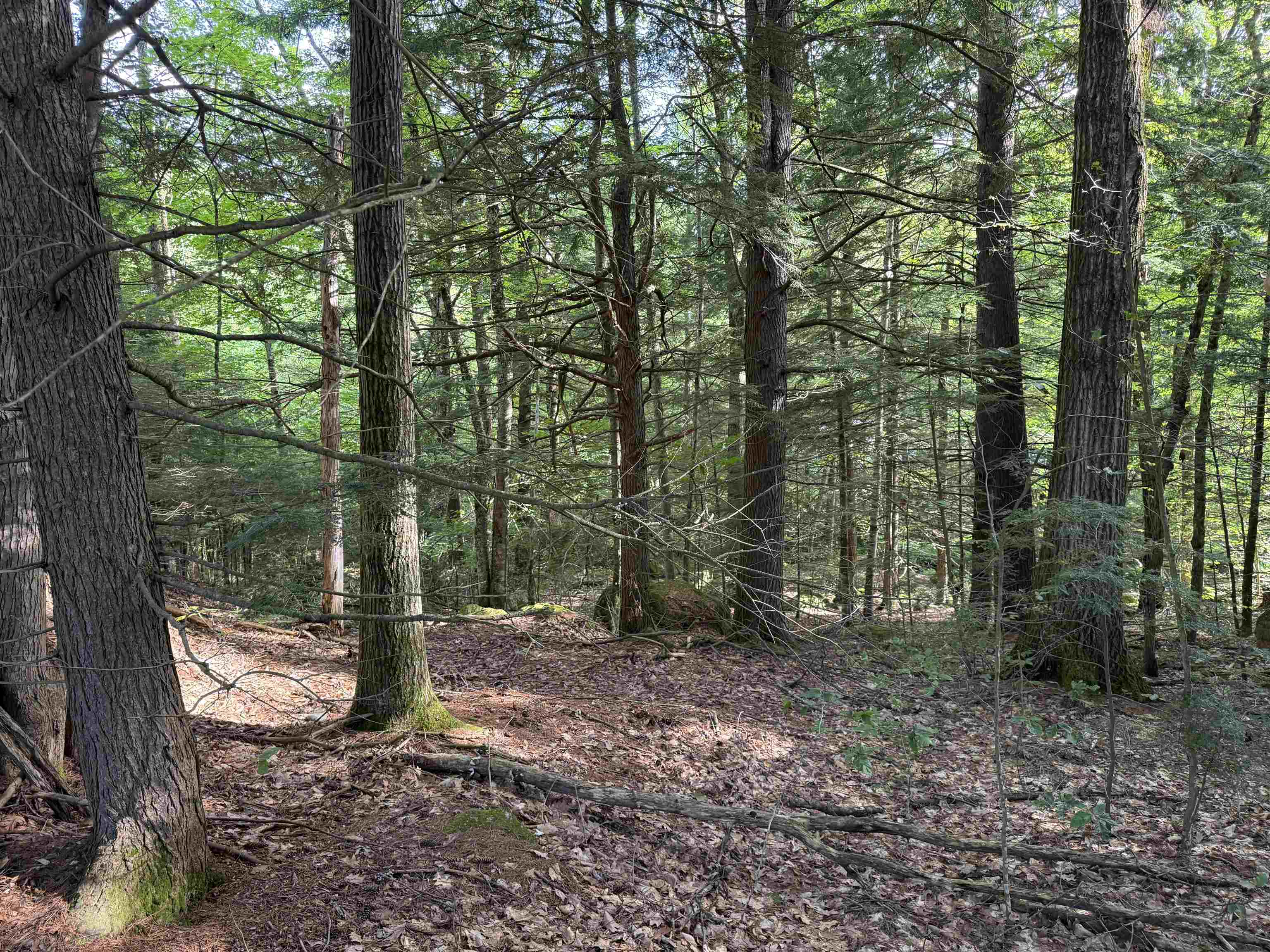 Land in Hillsborough