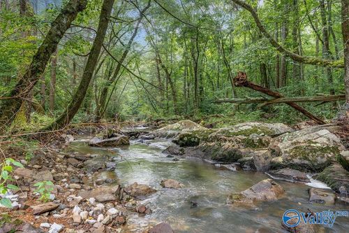 112 Acres County Road 431, Bryant, AL, 35958 | Card Image
