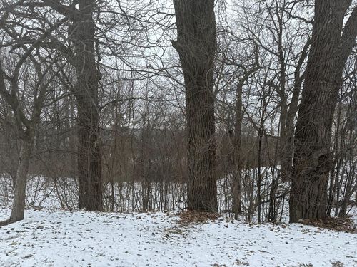 XXXX Salem Heights Lane Sw, Rochester, MN, 55901 | Card Image