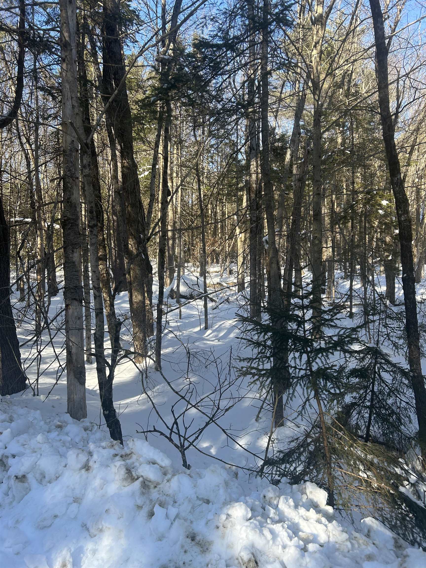 Land in Washington 3