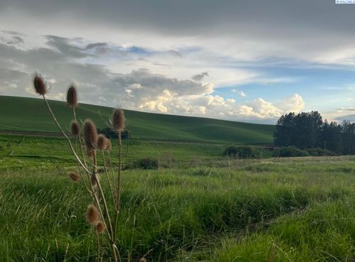 TBD Tidwell Rd, Palouse, WA, 99161 | Card Image