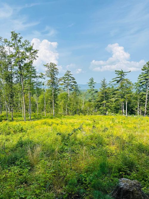 2024 State Route 114, Bradford, NH, 03221-3518 | Card Image