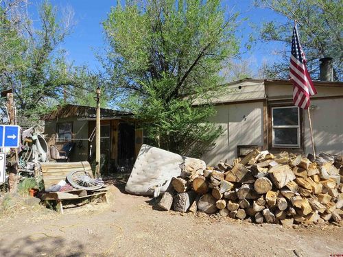 22203 Canal St, Austin, CO, 81410-8207 | Card Image