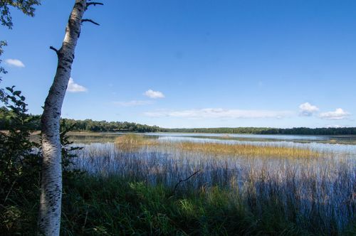 TBD Deacons Way, Pequot Lakes, MN, 56472 | Card Image