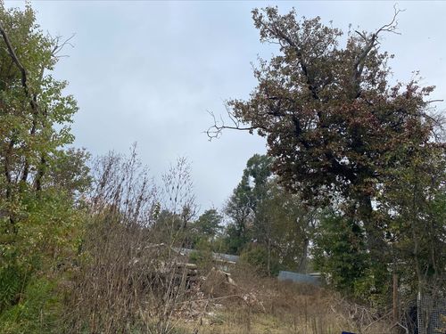 000 Shady Trail Rd, Chandler, TX, 75758 | Card Image