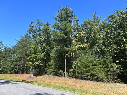 26-12-256 Beacon Ridge Drive, Nebo, NC, 28761 | Card Image
