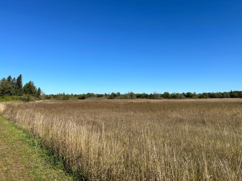TBD County Highway 26, Ponsford, MN, 56575 | Card Image