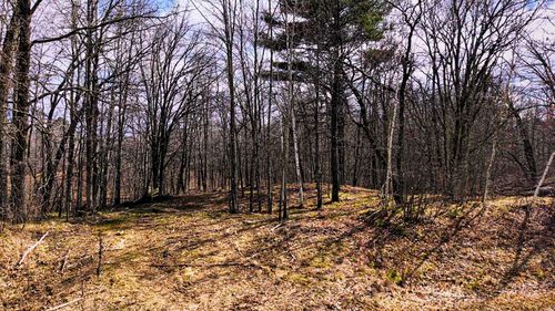 TBD 100th St Nw, Laporte, MN, 56461 | Card Image