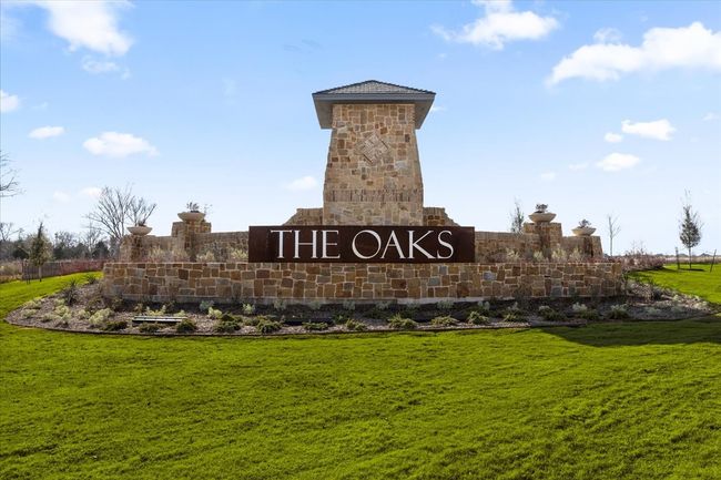 1124 Beaumont Ln, House other with 5 bedrooms, 4 bathrooms and null parking in Red Oak TX | Image 26