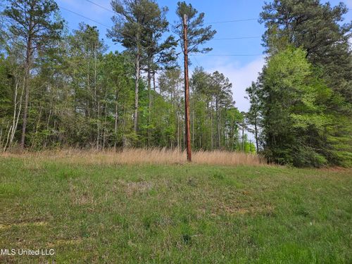 0 Highway 43, Silver Creek, MS, 39663 | Card Image