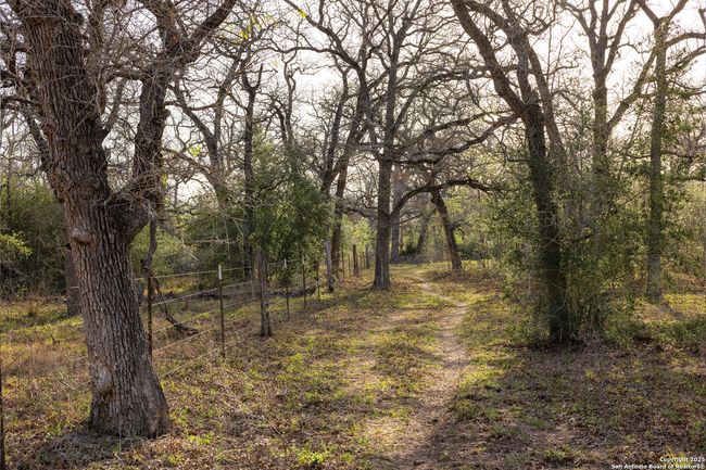 343 Batey Rd, Home with 3 bedrooms, 2 bathrooms and null parking in Nixon TX | Image 31