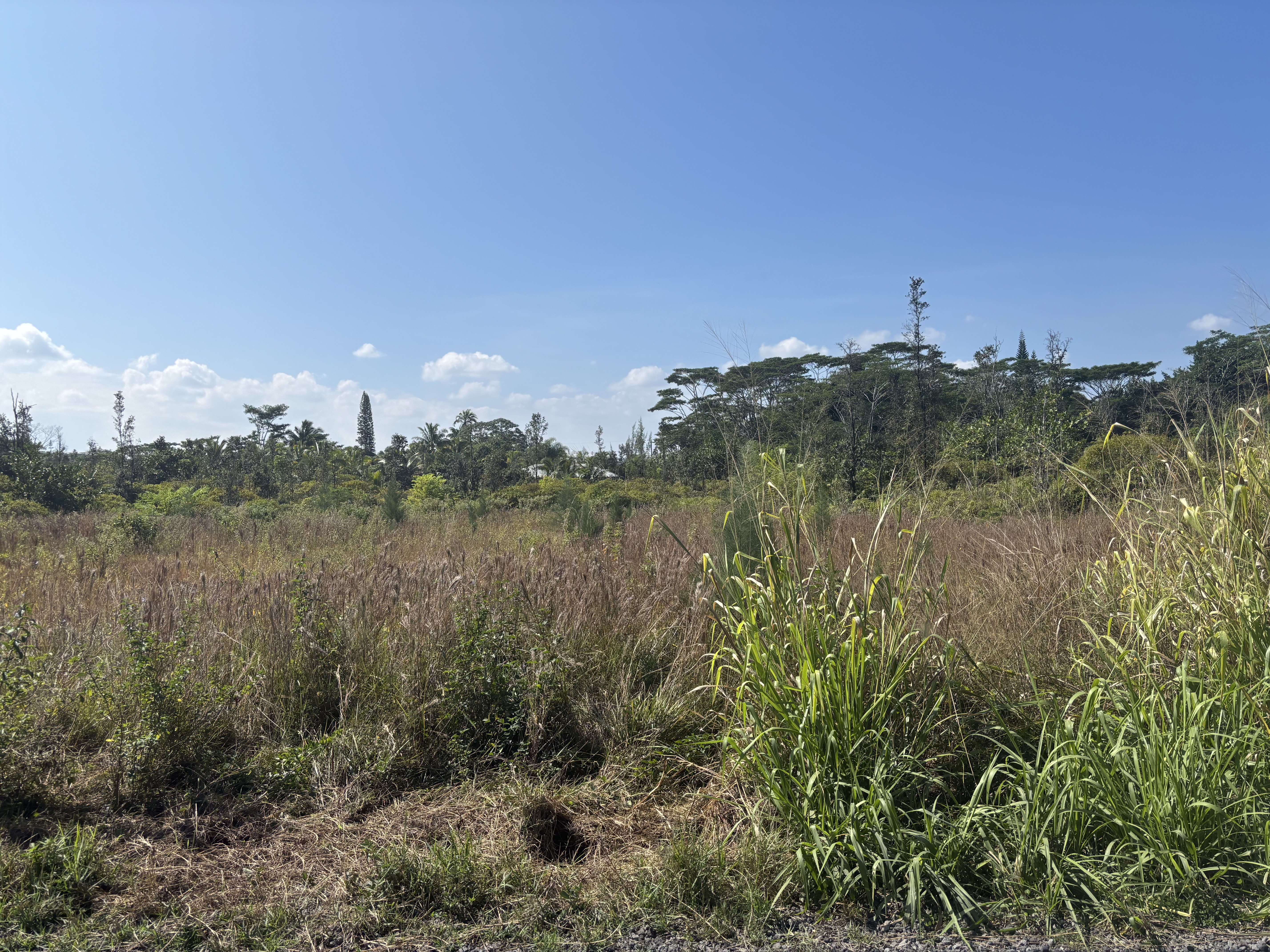 Land in Keaau 2