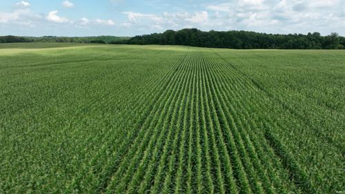 700 North Road, Urbana, IN, 46990 | Card Image