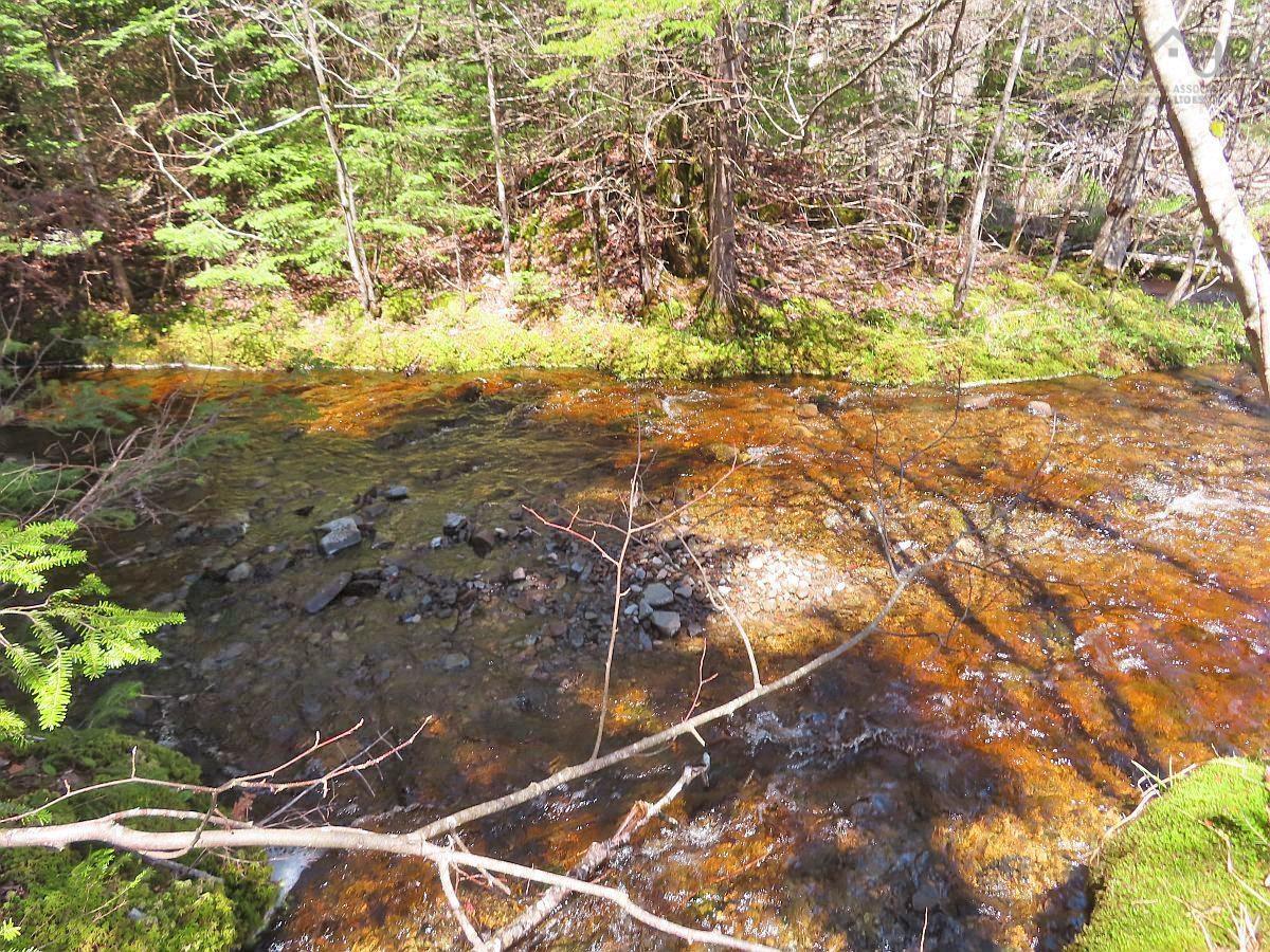 Land in West Side Country Harbour 4