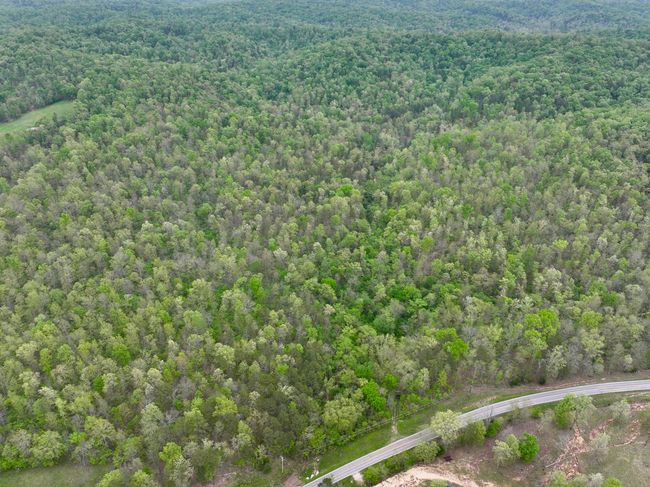 dji_fly_20250426_175808_0238_17457087380 | Image 21