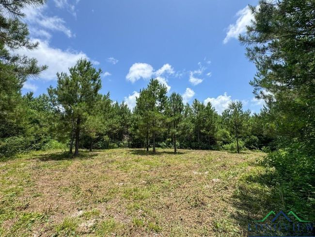 0000 Cr 1782, Home with 0 bedrooms, 0 bathrooms and null parking in Linden TX | Image 8
