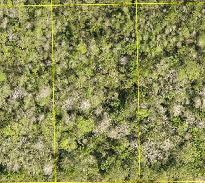 Land in DELAND