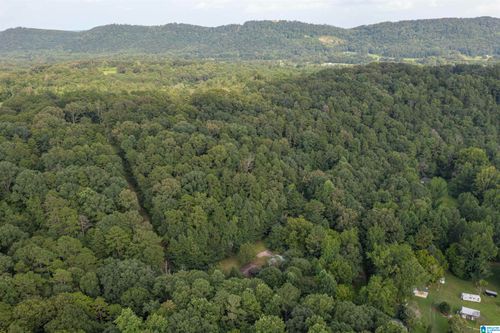160 Mill Hill Rd, Attalla, AL, 35954-8842 | Card Image