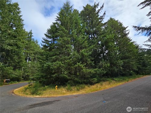 9325 123rd Ave, Anderson Island, WA, 98303 | Card Image